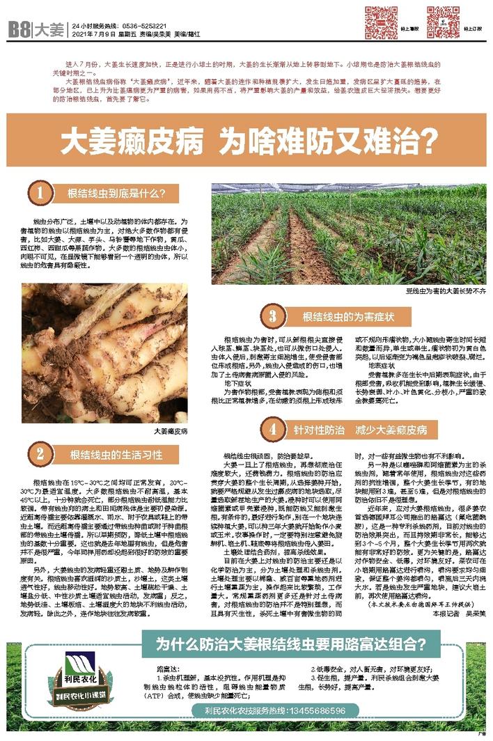 文章相关图片