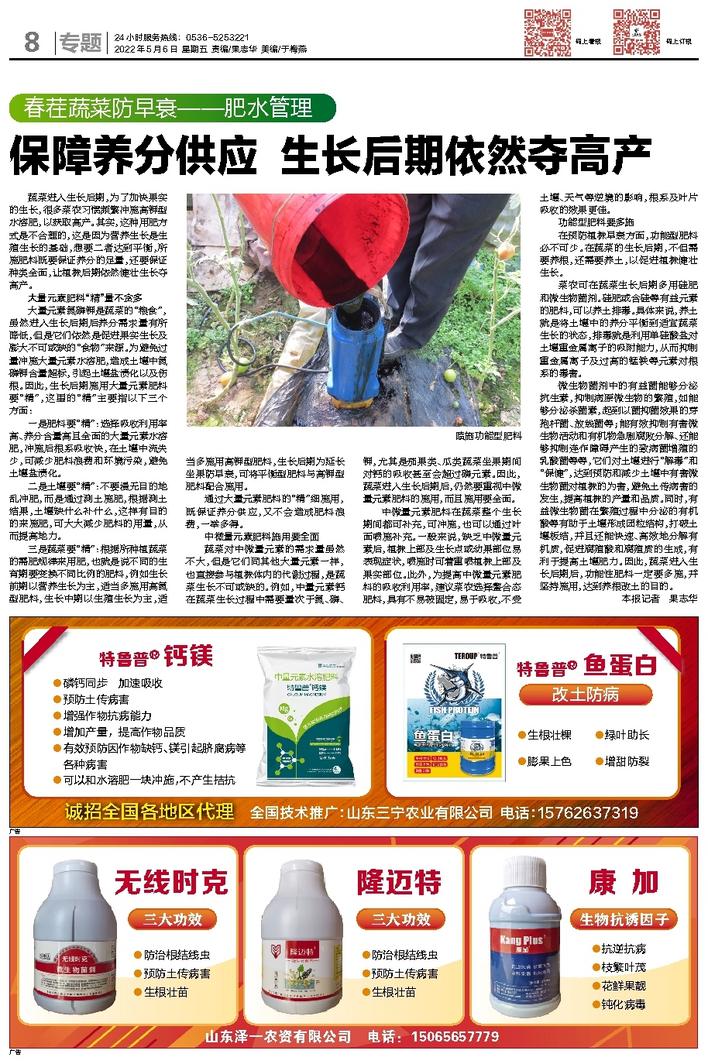 文章相关图片