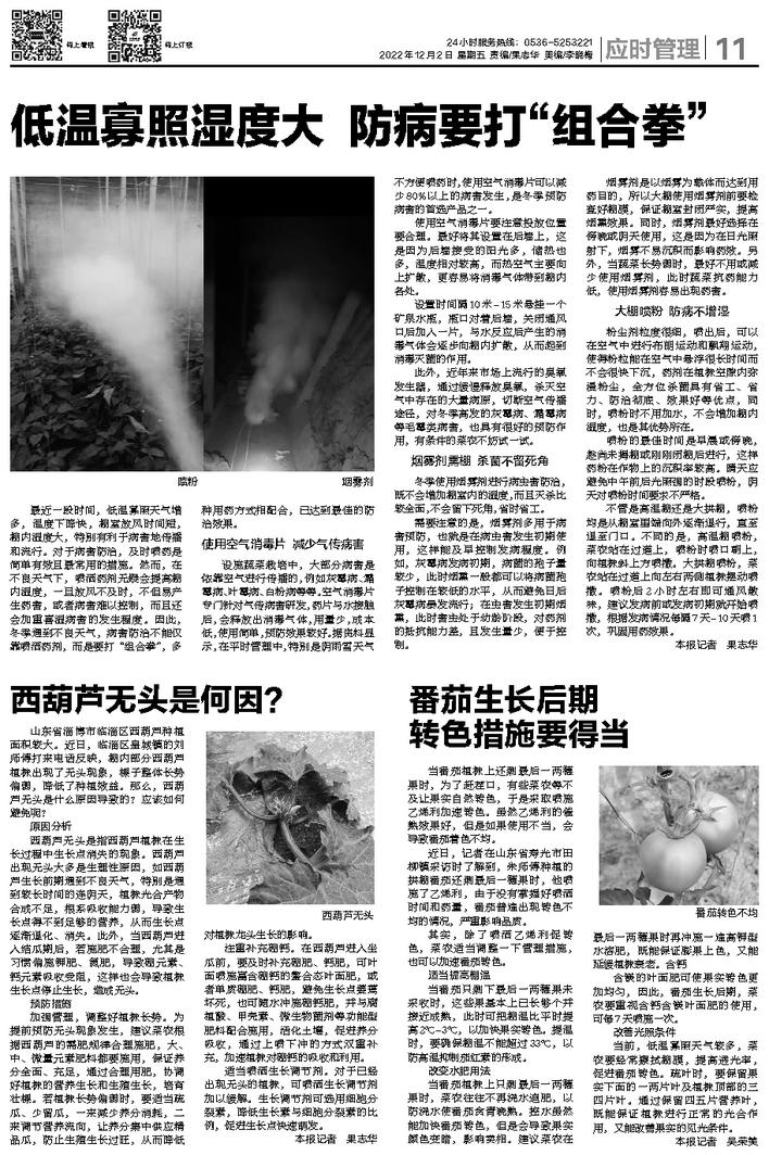 文章相关图片