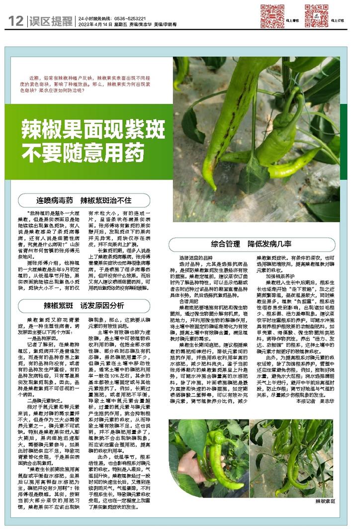 文章相关图片