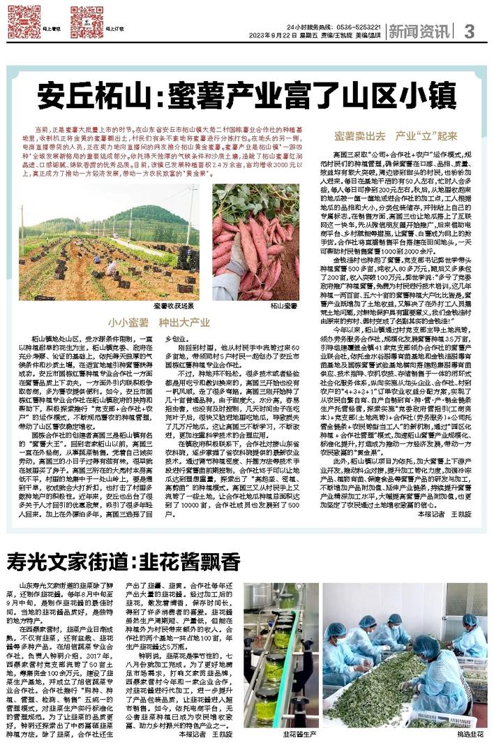 文章相关图片
