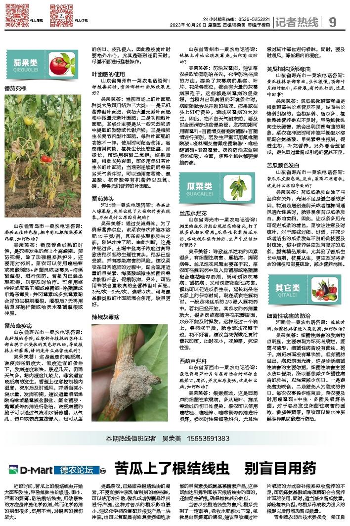 文章相关图片