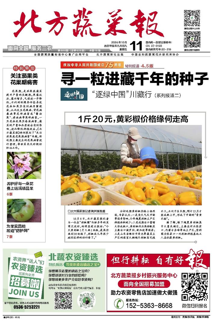 文章相关图片