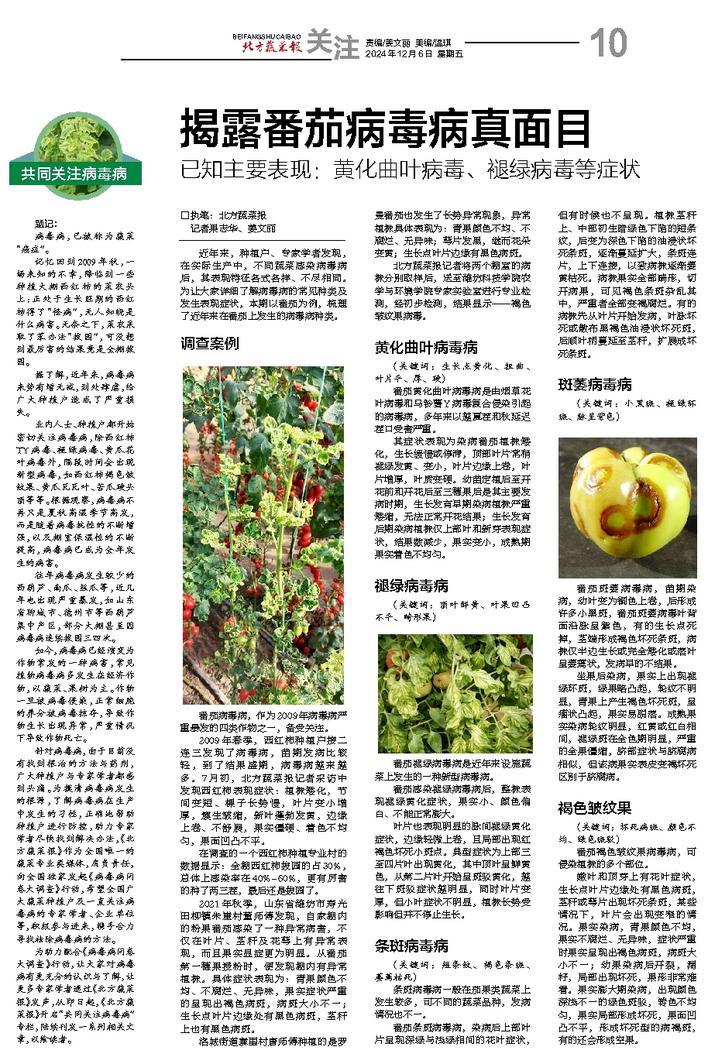 文章相关图片