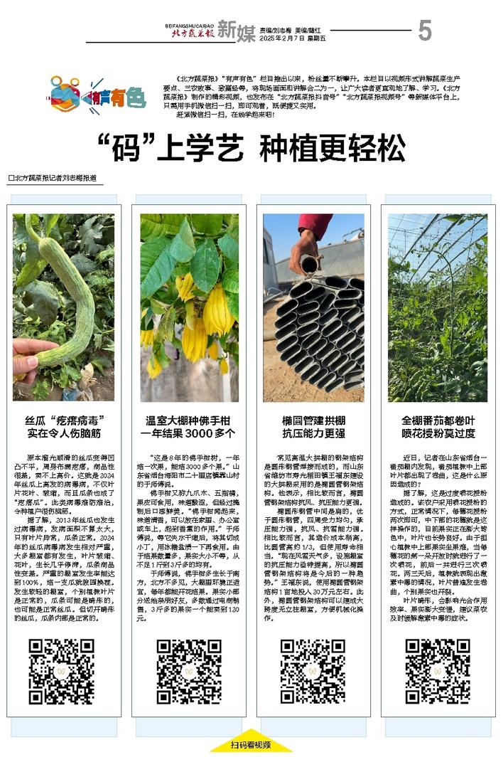 文章相关图片