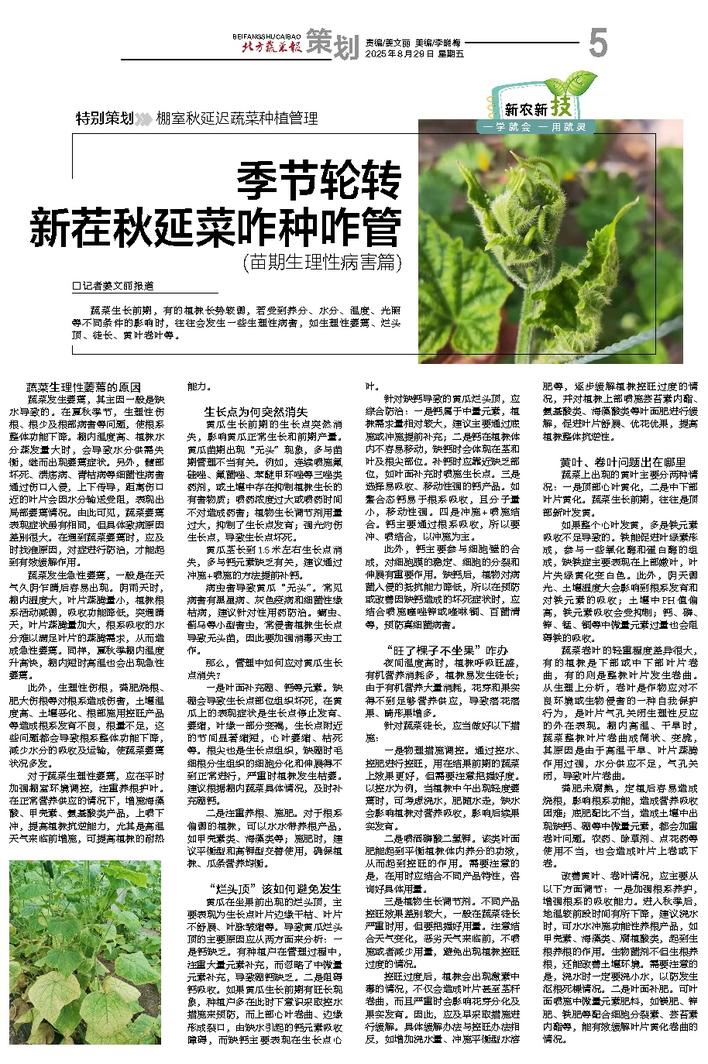 文章相关图片